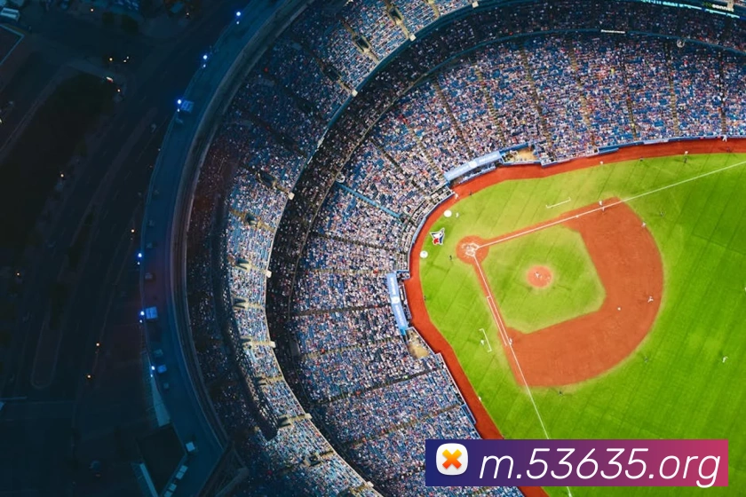 8868体育APP 封面图
